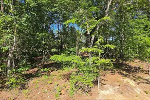 124 Creekside Cottage Ct, Blythewood, SC 29016 - Photo 4