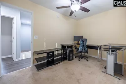 280 Walkbridge Way, Chapin, SC 29036 - Photo 42