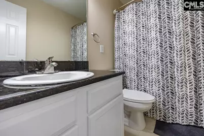 280 Walkbridge Way, Chapin, SC 29036 - Photo 38