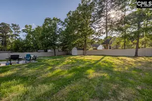 280 Walkbridge Way, Chapin, SC 29036 - Photo 8