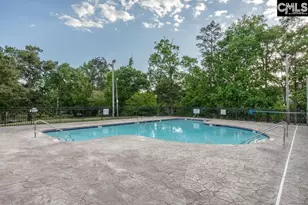 280 Walkbridge Way, Chapin, SC 29036 - Photo 46