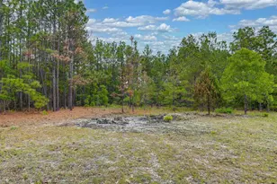 972 Gary Goff Rd, Elgin, SC 29045 - Photo 10