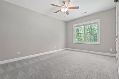 625 Mallard Drive, Chapin, SC 29036 - Photo 24