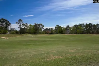 218 Glenn Village Circle, Blythewood, SC 29016 - Photo 48