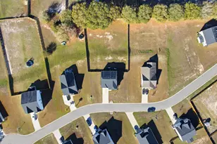 420 Jedburgh Ct, Lexington, SC 29073 - Photo 46