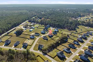 420 Jedburgh Ct, Lexington, SC 29073 - Photo 48