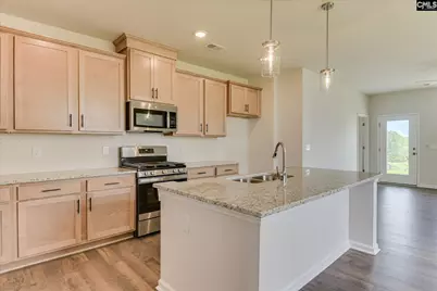 322 Welbeck Road, Lexington, SC 29073 - Photo 14