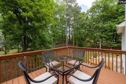 324 Ridgecreek Drive, Lexington, SC 29072 - Photo 6