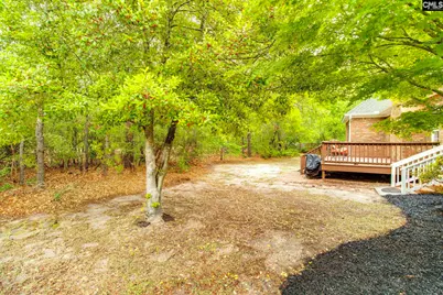 11 Hilltopper Court, Blythewood, SC 29016 - Photo 36