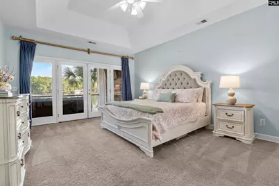 315 Old Landing Court, Chapin, SC 29036 - Photo 20