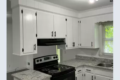133 Shoreditch Drive, Columbia, SC 29209 - Photo 4