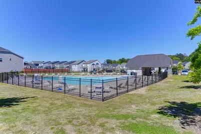 1331 Tamarind Lane, Chapin, SC 29036 - Photo 44