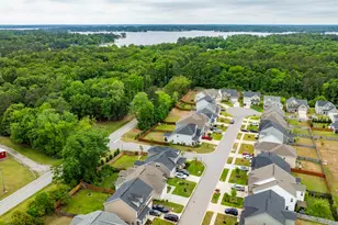 1331 Tamarind Ln, Chapin, SC 29036 - Photo 64