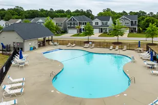 1331 Tamarind Ln, Chapin, SC 29036 - Photo 46