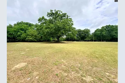 841 Cedar Creek Road, Swansea, SC 29160 - Photo 28