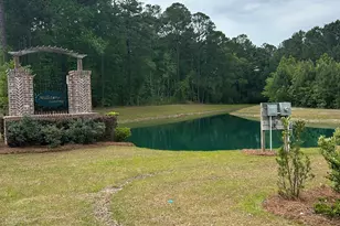 249 Conifer St, Hardeeville, SC 29927 - Photo 70