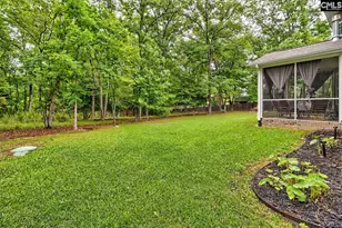 2435 Old Lexington Hwy, Chapin, SC 29036 - Photo 10