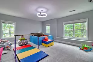 2435 Old Lexington Hwy, Chapin, SC 29036 - Photo 46