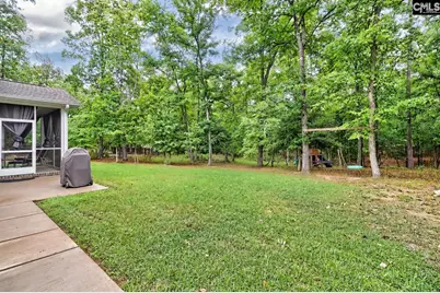 2435 Old Lexington Highway, Chapin, SC 29036 - Photo 6