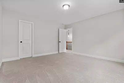 357 Bent Oak Drive, Chapin, SC 29036 - Photo 36