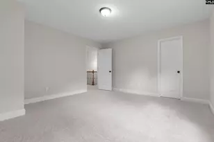 357 Bent Oak Dr, Chapin, SC 29036 - Photo 34