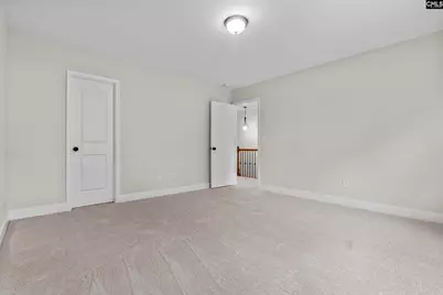 357 Bent Oak Drive, Chapin, SC 29036 - Photo 32