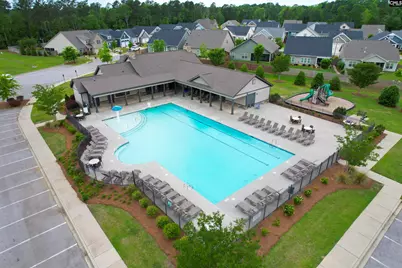 142 Almofini Lane, Chapin, SC 29036 - Photo 46