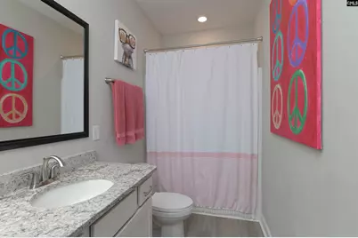 142 Almofini Lane, Chapin, SC 29036 - Photo 38