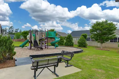 142 Almofini Lane, Chapin, SC 29036 - Photo 48