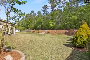436 Bowhunter Dr, Blythewood, SC 29016 - Photo 54