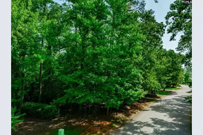 506 Timberlake Drive, Chapin, SC 29036 - Photo 18