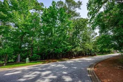 506 Timberlake Drive, Chapin, SC 29036 - Photo 16