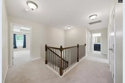 317 Eagle Claw Drive, Chapin, SC 29036 - Photo 20
