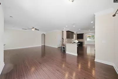 317 Eagle Claw Drive, Chapin, SC 29036 - Photo 8