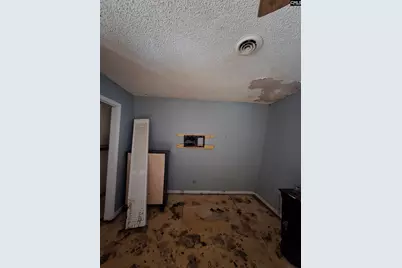 2808 Old Charleston Road, Gilbert, SC 29054 - Photo 38