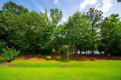 174 Madison Park Drive, Lexington, SC 29072 - Photo 44