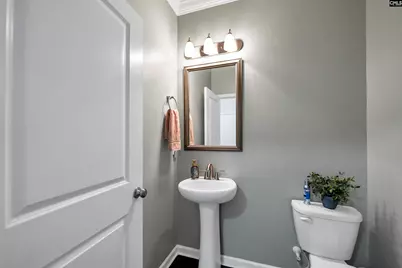174 Madison Park Drive, Lexington, SC 29072 - Photo 22