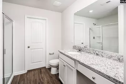 2117 Duck Lettuce Court, Gilbert, SC 29054 - Photo 12