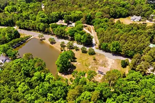 1133 Old Hilton Rd, Chapin, SC 29036 - Photo 48