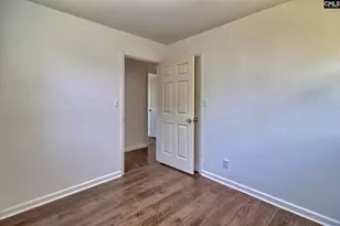 1133 Old Hilton Rd, Chapin, SC 29036 - Photo 26