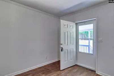 1133 Old Hilton Road, Chapin, SC 29036 - Photo 12