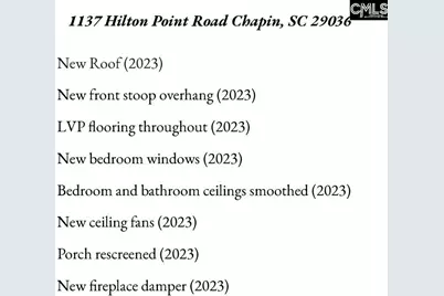 1137 Hilton Point Road, Chapin, SC 29036 - Photo 2