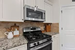 145 Indian Grass Dr, Chapin, SC 29036 - Photo 18