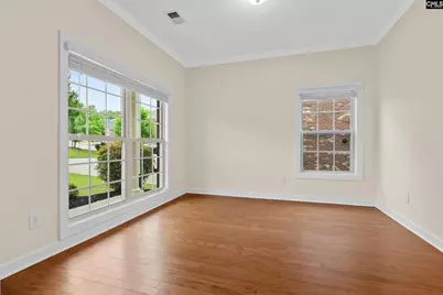 145 Indian Grass Drive, Chapin, SC 29036 - Photo 6