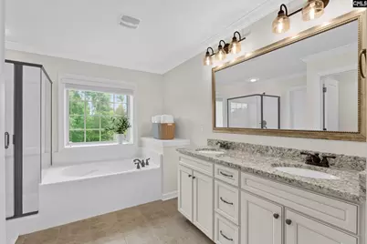 145 Indian Grass Drive, Chapin, SC 29036 - Photo 34