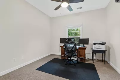 145 Indian Grass Drive, Chapin, SC 29036 - Photo 22