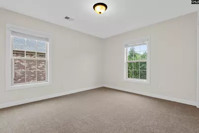 145 Indian Grass Drive, Chapin, SC 29036 - Photo 26