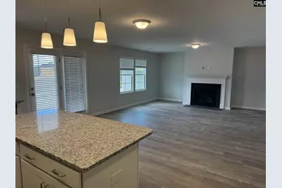 2072 County Line Trail, Elgin, SC 29045 - Photo 4