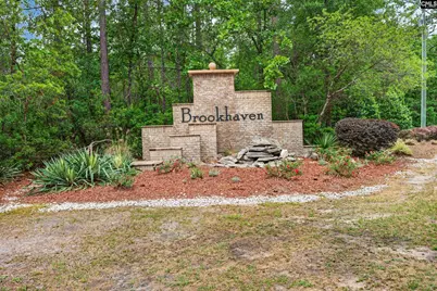 809 Wing Stripe Court, Columbia, SC 29229 - Photo 46
