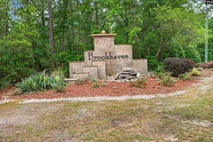 809 Wing Stripe Ct, Columbia, SC 29229 - Photo 46